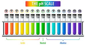 Importância do pH na limpeza